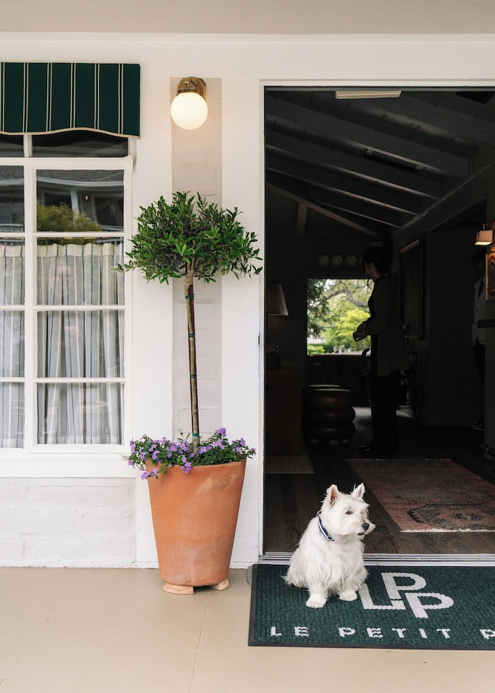 Le Petit Pali at Ocean Ave